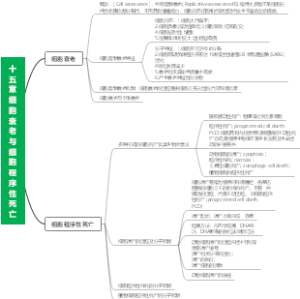 细胞生物学十五章细胞衰老与细胞程序性死亡