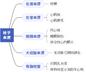 心瓣膜病病因学分析