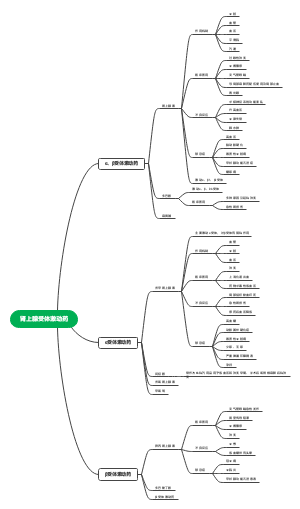 肾上腺受体激动药
