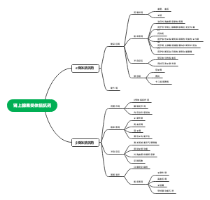 肾上腺素受体拮抗药