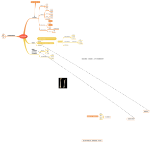 《人体解剖生理学之运动系统》思维导图