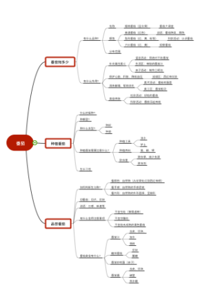中五班班本课程《嘿！番茄》