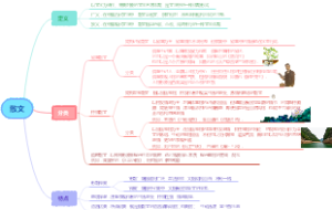 初中语文-文学体裁-散文