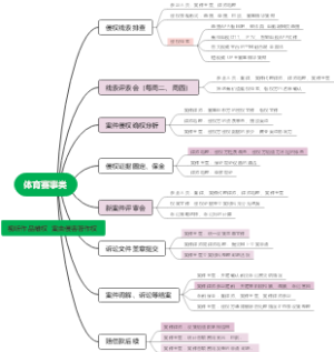 体育赛事类（流程图）