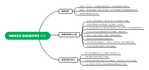 细胞是生命活动的基本单位