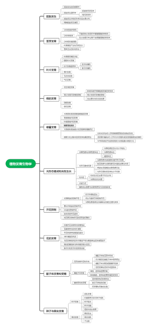 植物发育思维导图