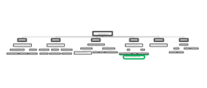 The Development Of Bacteriology