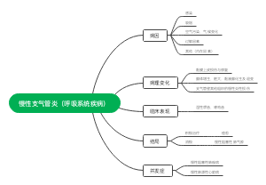 慢性支气管炎（呼吸系统疾病）