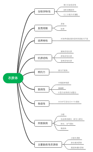 病原生物学-衣原体思维导图