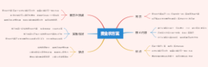 麦金农方案