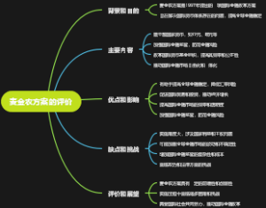麦金农方案的评价