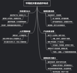 华南经济圈的运作特点
