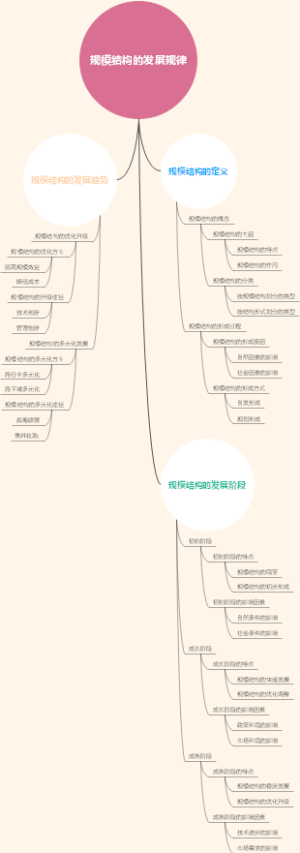 规模结构的发展规律