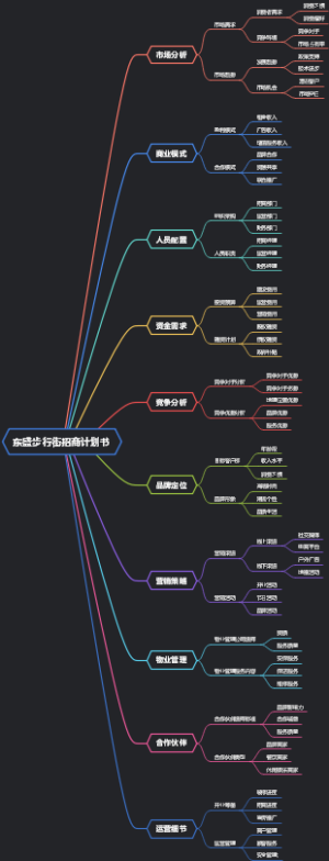 东盛步行街招商计划书