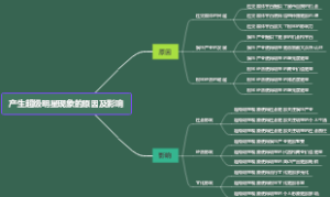 产生超级明星现象的原因及影响