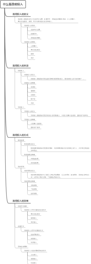 什么是政府投入
