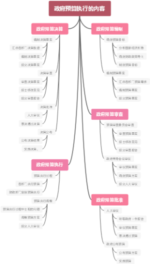 政府预算执行的内容