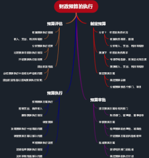 财政预算的执行
