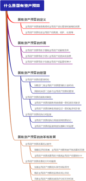 什么是国有资产预算