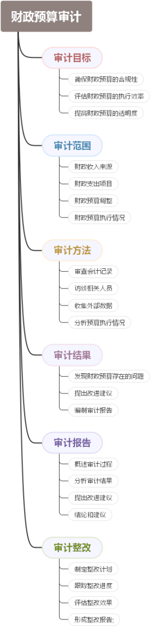 财政预算审计