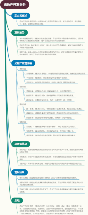 房地产开发业务
