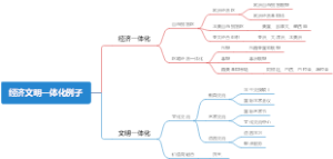 经济文明一体化例子