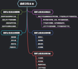 政府卫生支出