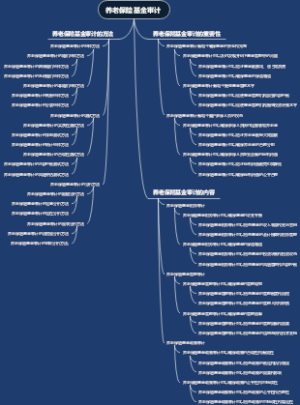 养老保险基金审计