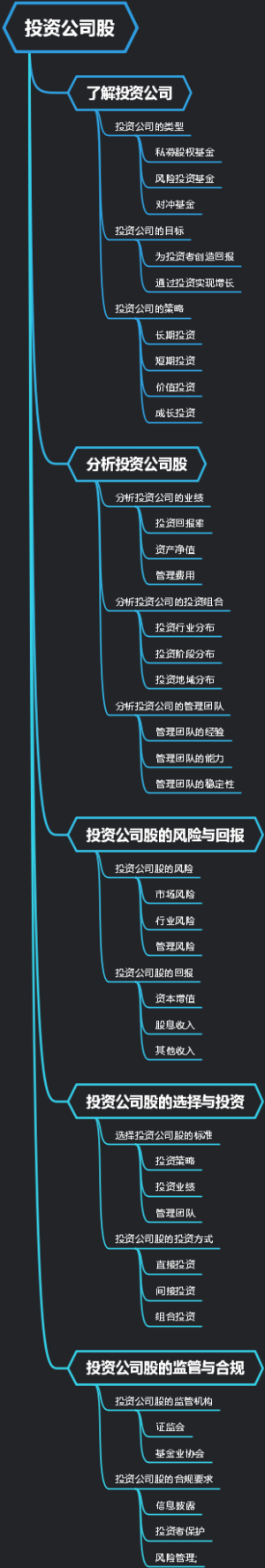 投资公司股