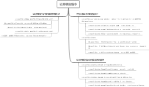 证券锁定指令