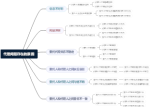 代理问题存在的原因