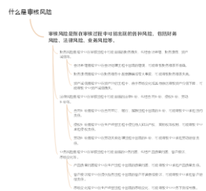 什么是审核风险