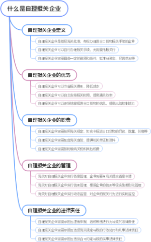 什么是自理报关企业