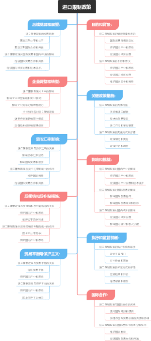 进口限制政策