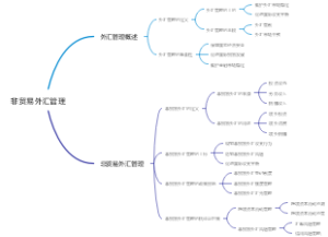 非贸易外汇管理