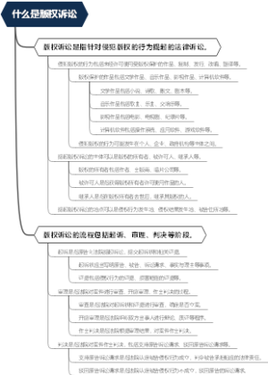 什么是版权诉讼