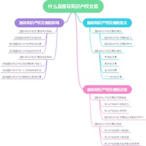 什么是国际知识产权交易