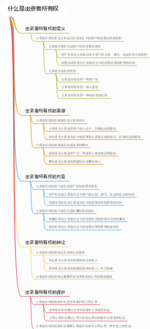 什么是出资者所有权