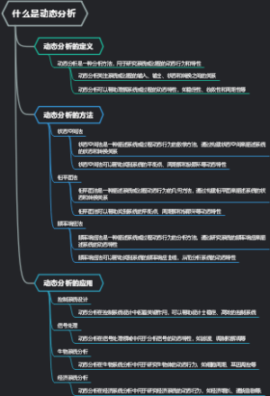 什么是动态分析
