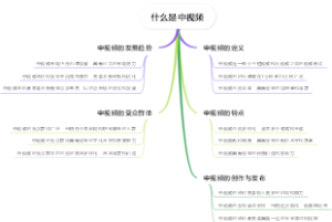 什么是中视频