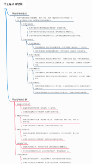 什么是项目包装