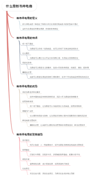 什么是新市井电商