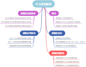什么是源路由