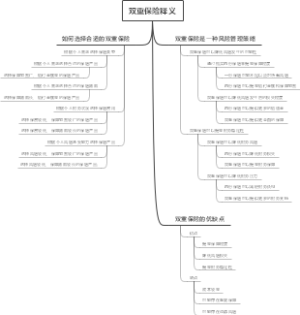 双重保险释义