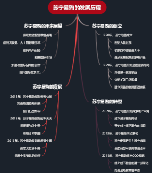 苏宁易购的发展历程