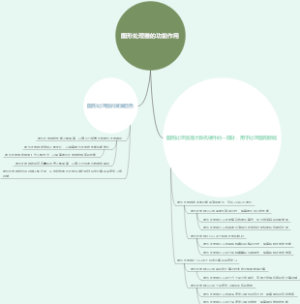图形处理器的功能作用