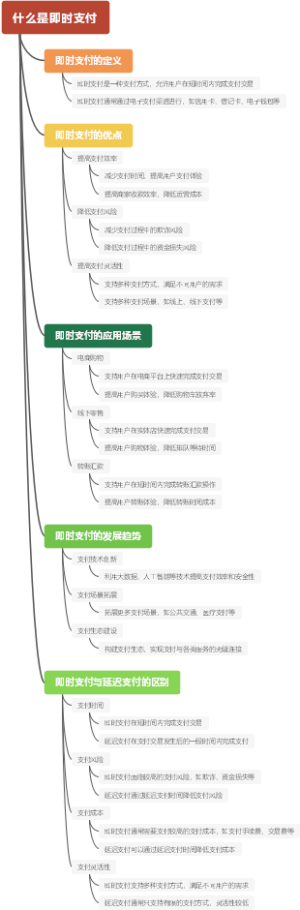 什么是即时支付