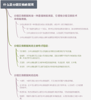 什么是分组交换数据网