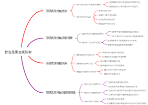 什么是街区式住宅