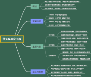 什么是金宏工程